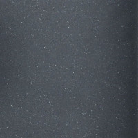 Кухонная мойка Wisent 420-25W (с сифоном GER013)