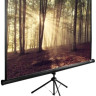 Проекционный экран Cactus TriExpert 135x180 CS-PSTE-180X135-BK