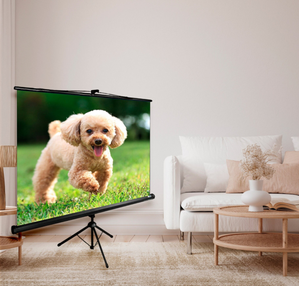 Проекционный экран Cactus TriExpert 135x180 CS-PSTE-180X135-BK