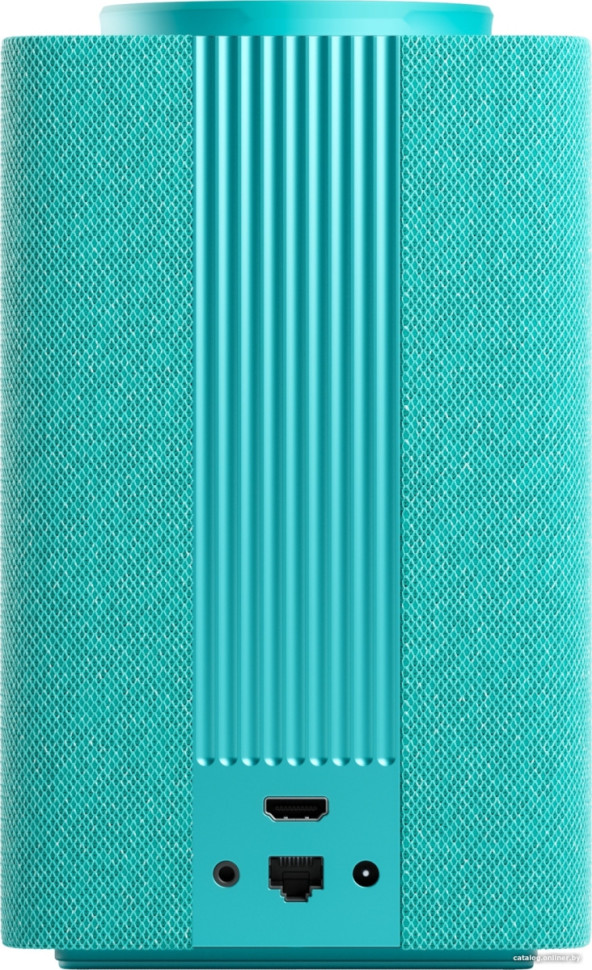 Умная колонка Яндекс Станция Макс (с хабом умного дома Zigbee, бирюзовый)