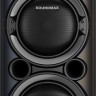 Патибокс SoundMAX SM-MS4101
