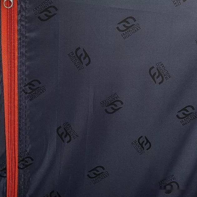 Чемодан-спиннер Francesco Molinary 270-29111/3-24 (серый)