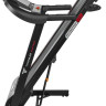 Беговая дорожка Titanium Masters Physiotech TBM