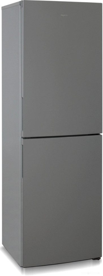 Холодильник Бирюса W6031