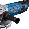 Угловая шлифмашина Bosch GWS 30-230 B Professional 06018G1000