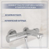 Смеситель Lauter Temp 21YH50427-4 с лейкой Relexa Nevada 21S10146