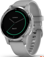 Умные часы Garmin Vivoactive 4s (серый/серебристый)