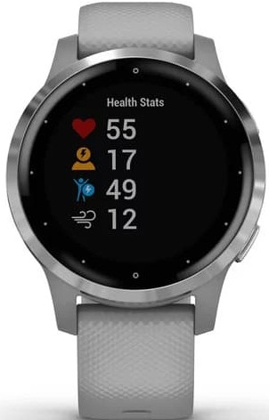 Умные часы Garmin Vivoactive 4s (серый/серебристый)