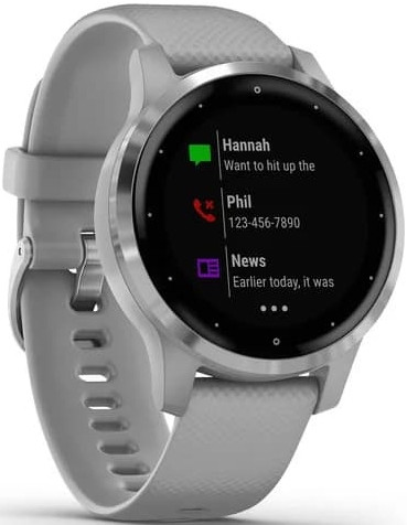Умные часы Garmin Vivoactive 4s (серый/серебристый)