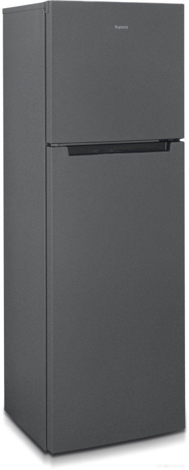 Холодильник Бирюса W6039