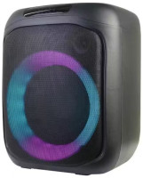 Портативная акустика Ritmix SP-905B