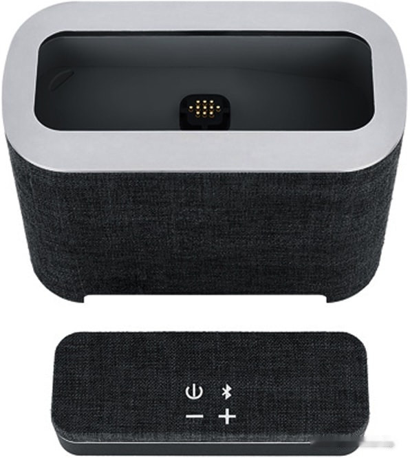 Портативная акустика Platinet Duo PMG094