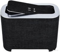 Портативная акустика Platinet Duo PMG094