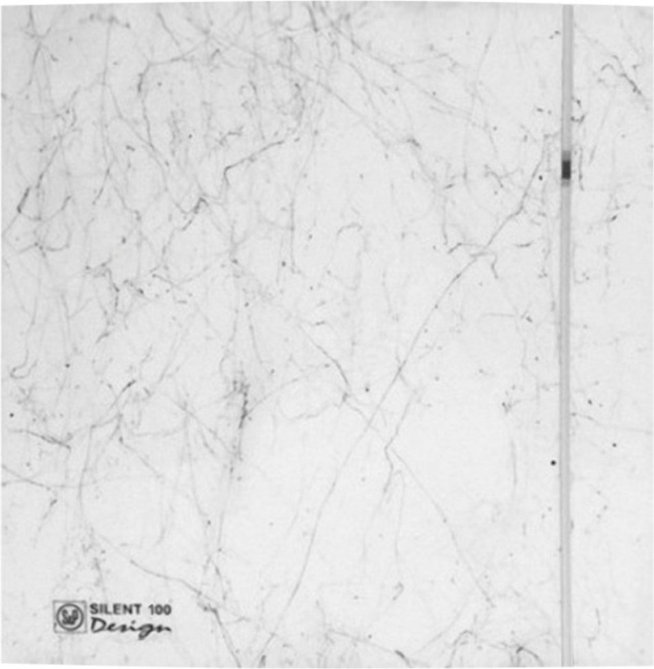 Осевой вентилятор Soler & Palau Silent-100 CRZ Marble White Design 5210401500-435600