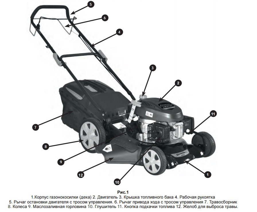 Бензиновая газонокосилка Champion LM5131