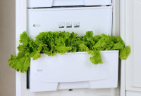 Холодильник с нижней морозильной камерой Pozis RK-103 (Graphite)