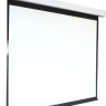 Проекционный экран Digis Electra-F 248x189 DSEF-4304