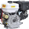Двигатель Skiper N190F/E(SFT)