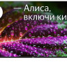 Телевизор BBK 50LED-8249/UTS2C