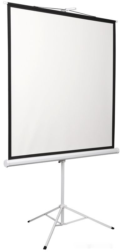 Проекционный экран Digis Kontur-D 248x189 DSKD-4304
