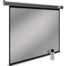 Проекционный экран Cactus SIlverMotoExpert 138x220 CS-PSSME-220X138-DG