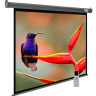 Проекционный экран Cactus SIlverMotoExpert 138x220 CS-PSSME-220X138-DG