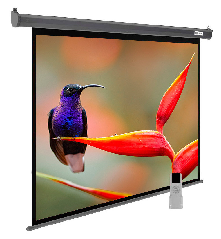 Проекционный экран Cactus SIlverMotoExpert 138x220 CS-PSSME-220X138-DG