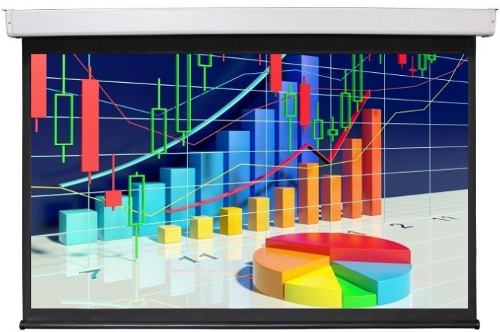 Проекционный экран Future Vision Video Electric 368x278 E360VMW