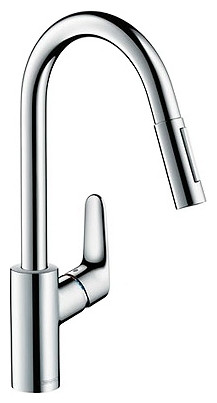 Смеситель Hansgrohe Focus 31815000