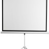 Проекционный экран Digis Kontur-D 206x209 DSKD-1106