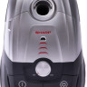 Пылесос Sharp EC-JB19R-S