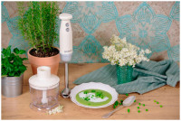 Блендер Gorenje HBX603RL