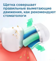 Электрическая зубная щетка Philips 1100 Series HX3641/11