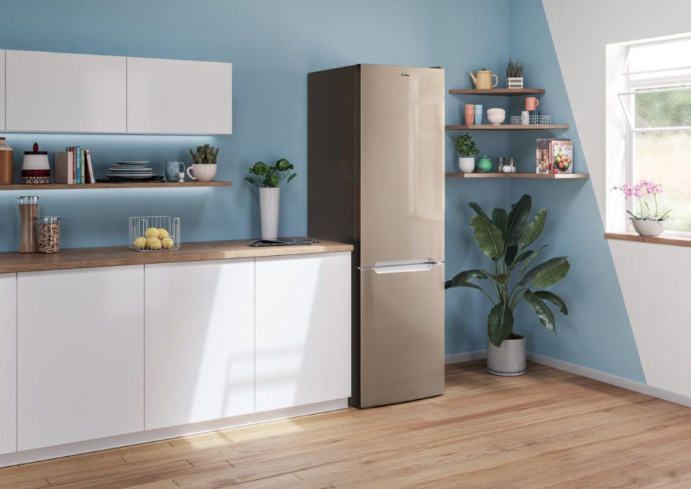 Холодильник Candy CCRN 6200G