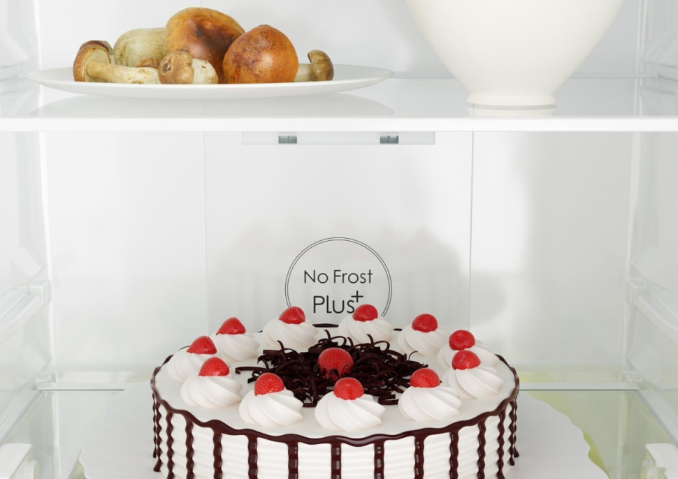 Холодильник Candy CCRN 6200G