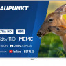 Телевизор Blaupunkt 43UBC6010T