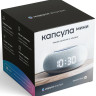 Умная колонка VK Капсула Мини (серый)