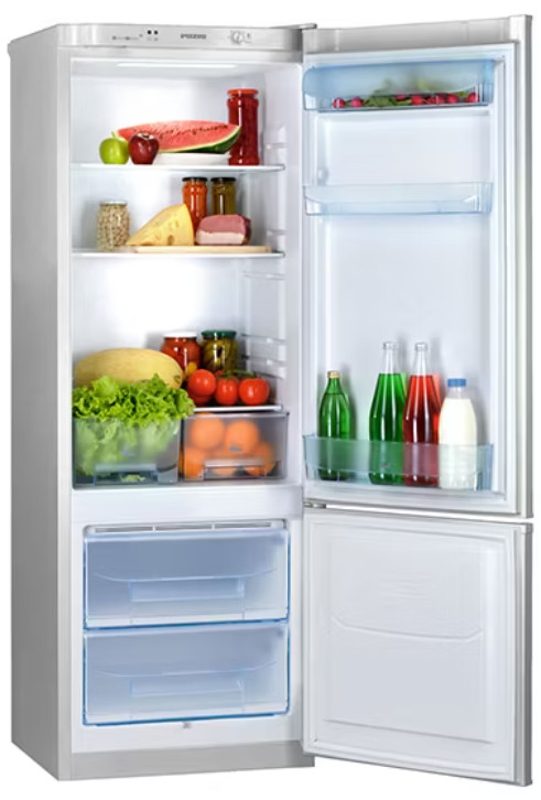 Холодильник Pozis RK-102 (серебристый)