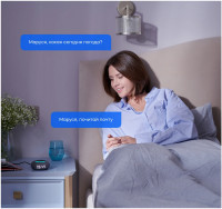 Умная колонка VK Капсула Мини (черный)