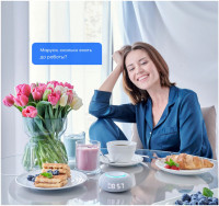 Умная колонка VK Капсула Мини (черный)