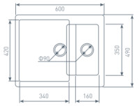Кухонная мойка Zigmund &amp; Shtain RECHTECK 600.2 (Осенняя трава)