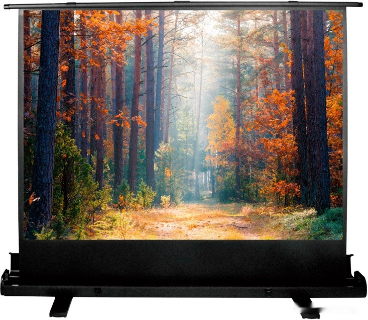 Проекционный экран Cactus FloorExpert 120x160 CS-PSFLE-160X120