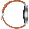 Умные часы Huawei Watch GT2 Classic Edition 46 мм (коричневый)