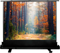 Проекционный экран Cactus FloorExpert 150x200 CS-PSFLE-200X150