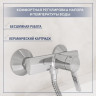 Смеситель Lauter Art 21CK9680C с лейкой Relexa Serene 21S00103