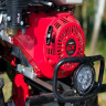 Двигатель Skiper N170FL(SFT)
