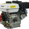 Двигатель Skiper N170FL(SFT)