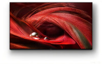 Телевизор Sony XR-65X95J