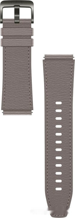 Умные часы Huawei Watch GT2 Pro (туманно-серый)