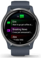 Умные часы Garmin Venu 2 (нержавеющая сталь/синий гранит)